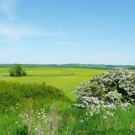Haus In Idyllischer Lage Mit Sauna, Terrasse Und Garten - Mondlicht