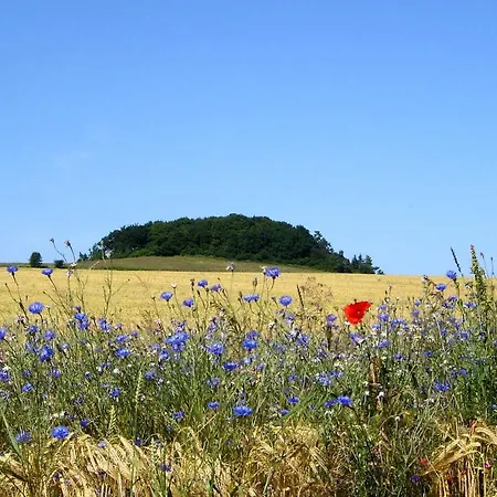 Tatil Evi Haus In Idyllischer Lage Mit Sauna, Terrasse Und Garten - Mondlicht